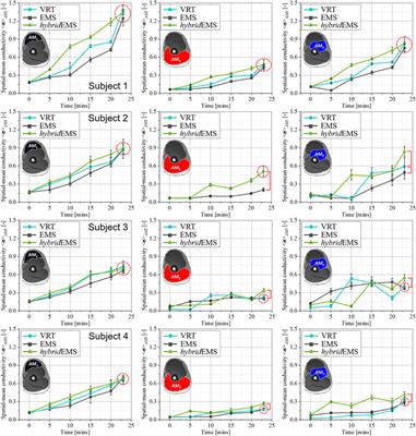 Physiological-induced conductive response evaluation in specific muscle compartments under hybrid of electrical muscle stimulation and voluntary resistance training by electrical impedance tomography